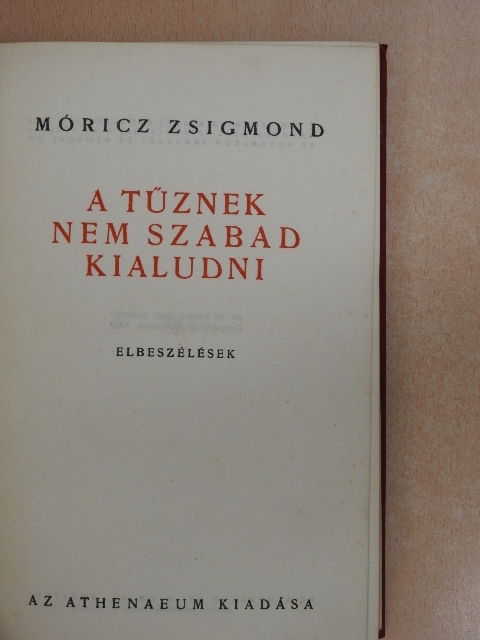 Móricz Zsigmond - A tűznek nem szabad kialudni [antikvár]
