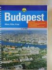 Brezsnyánszky Károlyné - Budapest [antikvár]
