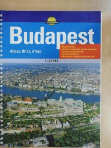 Brezsnyánszky Károlyné - Budapest [antikvár]