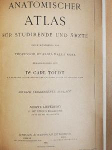 Dr. Alois Dalla Rosa - Anatomischer Atlas für Studierende und Ärzte IV-VI. [antikvár]