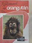 Rokonunk: az orangután [antikvár]