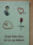 Gáspár Gábor János - Két szív, egy dobbanás [antikvár]