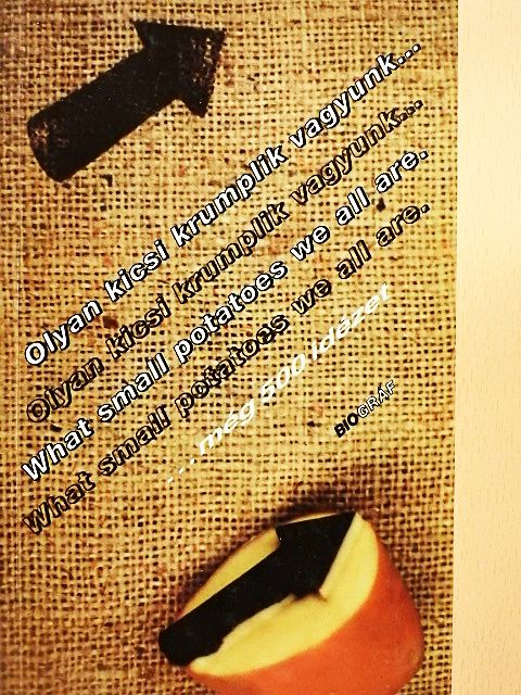 Olyan kicsi krumplik vagyunk... még 500 idézet [antikvár]