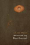Juhász Márió - A konyhában meg Elmore James szól [antikvár]