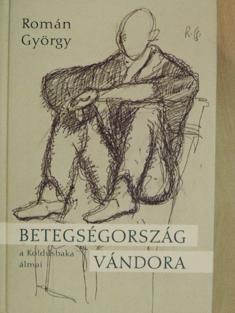 Román György - Betegségország vándora [antikvár]