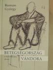 Román György - Betegségország vándora [antikvár]