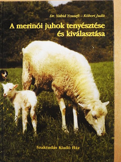 Dr. Vahid Yousefi - A merinói juhok tenyésztése és kiválasztása [antikvár]