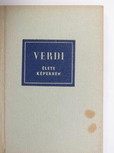 Richard Petzoldt - Verdi élete képekben [antikvár]