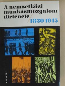 Dr. Babirák Ilona - A nemzetközi munkásmozgalom története 1830-1945 [antikvár]