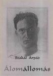 Szakál Árpád - Álomállomás [antikvár]