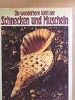 Donato Lucifora - Die wunderbare Welt der Schnecken und Muscheln [antikvár]