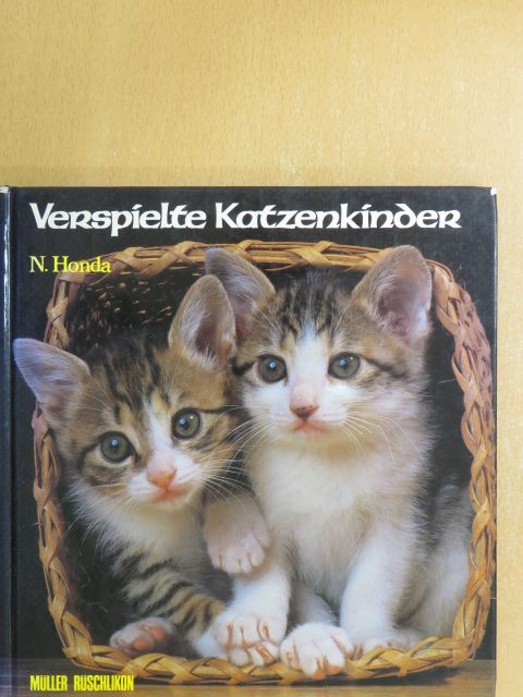Verspielte Katzenkinder [antikvár]