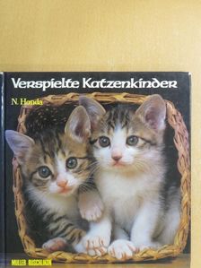 Verspielte Katzenkinder [antikvár]