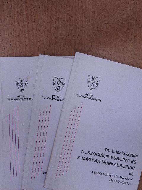 Dr. László Gyula - A "szociális Európa" és a magyar munkaerőpiac I-III. [antikvár]