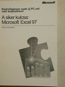 A siker kulcsa: Microsoft Excel 97 [antikvár]