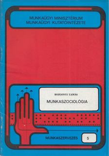 Rozgonyi Tamás - Munkaszociológia [antikvár]