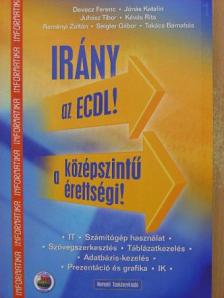 Devecz Ferenc - Irány az ECDL!/a középszintű érettségi! [antikvár]