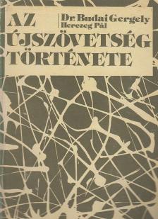 Herczeg Pál, Dr. Budai Gergely - Az újszövetség története [antikvár]