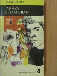Barsi Dénes - Parázs a hamuban [antikvár]
