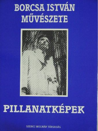 Borcsa István művészete X. [antikvár]