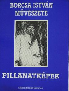 Borcsa István művészete X. [antikvár]