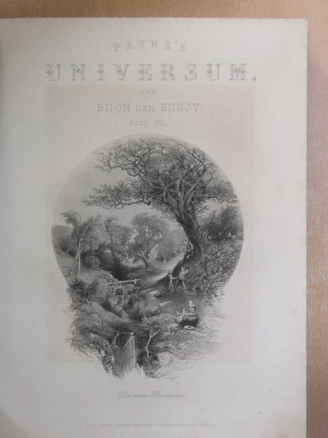 Payne's Universum und Buch der Kunst 7. (gótbetűs) [antikvár]