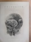 Payne's Universum und Buch der Kunst 7. (gótbetűs) [antikvár]
