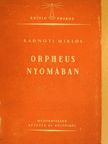 Guillaume Apollinaire - Orpheus nyomában [antikvár]