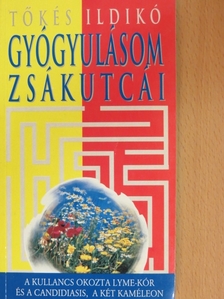 Tőkés Ildikó - Gyógyulásom zsákutcái [antikvár]