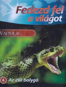 Jennifer Taylor - Fedezd fel a világot - Az élő bolygó [antikvár]