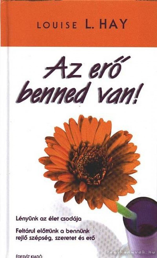 LOUISE L. HAY - Az erő benned van [antikvár]