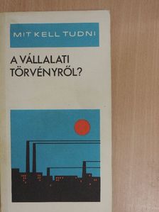 Sárközy Tamás - Mit kell tudni a vállalati törvényről? [antikvár]