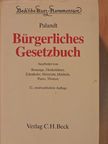 Palandt Bürgerliches Gesetzbuch [antikvár]