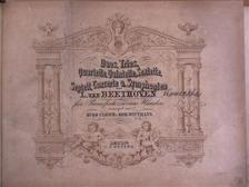 L. van Beethoven - Duos, Trios, Quartette, Quintette, Sextette, Septett, Concerte u. Symphonien I-II./Duos, Trios, Quartette, Quintette, Sextette/Concerte I-II. [antikvár]