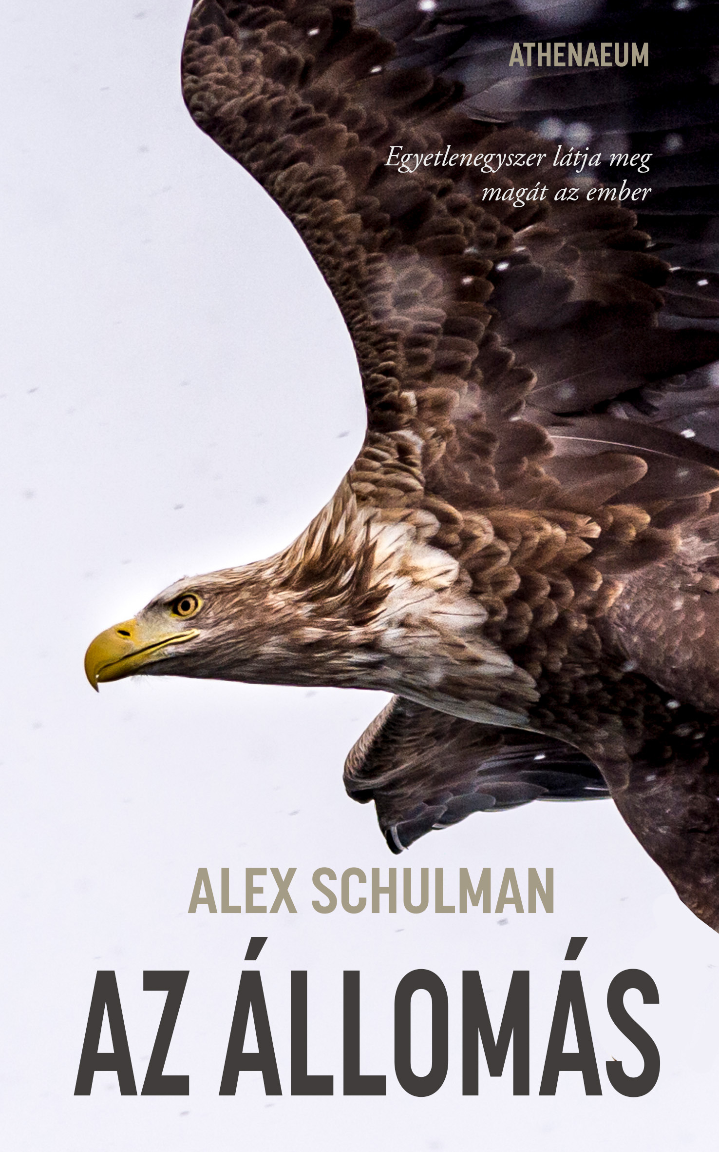 Alex Schulman - Az állomás [eKönyv: epub, mobi]