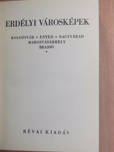 Berde Mária - Erdélyi városképek [antikvár]