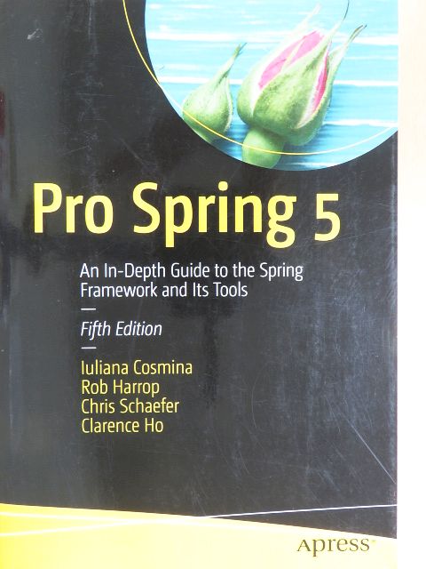 Chris Schaefer - Pro Spring 5 [antikvár]