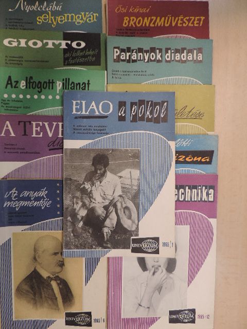 Univerzum 1965. (nem teljes évfolyam) [antikvár]