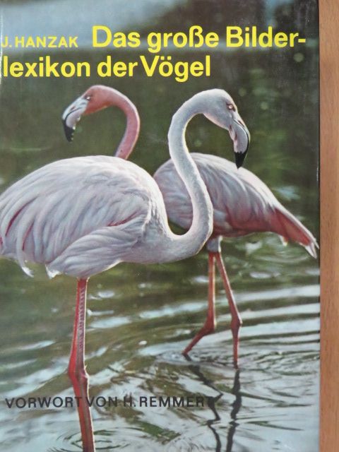 H. Remmert - Das Grosse Bilderlexikon der Vögel [antikvár]