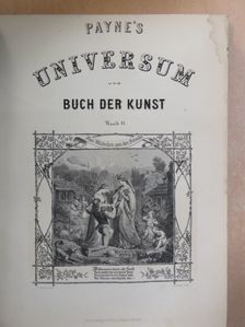 Payne's Universum und Buch der Kunst 11. (gótbetűs) [antikvár]