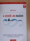 Bodó Balázs - A szerzői jog kalózai [antikvár]