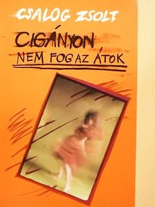 Csalog Zsolt - Cigányon nem fog az átok [antikvár]