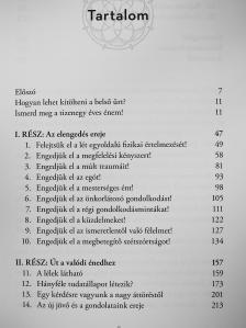 Gerry Hussey - A tudat ereje [antikvár]