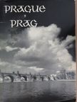 Karel Plicka - Prague/Prag [antikvár]