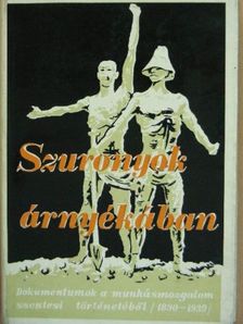 Dr. Barta László - Szuronyok árnyékában [antikvár]