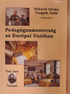 Bábosik István - Pedagógusmesterség az Európai Unióban [antikvár]
