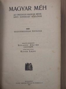 Magyar Méh 1920. (nem teljes évfolyam)/1921-1923. január-december [antikvár]