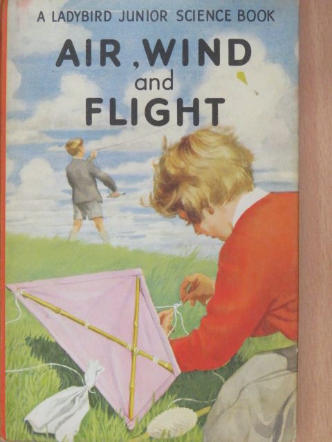 F. E. Newing - Air, Wind and Flight [antikvár]