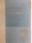 A. Nagy György - Újjáépítő magyarok [antikvár]