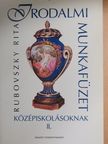 Rubovszky Rita - Irodalmi munkafüzet középiskolásoknak II. [antikvár]